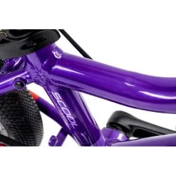 Academy Vélos Enfant 12-18 Pouces Grade 2 Belt 14" Enfant, Violet