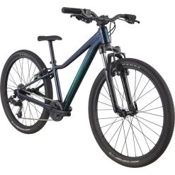 Cannondale Vélos Enfant 24 Pouces Trail 24" Enfant, Bleu
