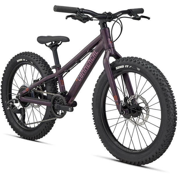 Commencal Vélos Enfant 20 Pouces Ramones 20" 2022 Enfant, Violet 3 Commencal Vélos Enfant 20 Pouces Ramones 20" 2022 Enfant, Violet