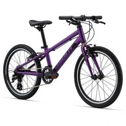 Giant Vélos Enfant 20 Pouces ARX 20" Enfant, Violet