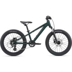 Giant Vélos Enfant 20 Pouces STP 20 FS Enfant, Vert