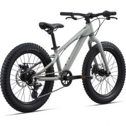 Giant Vélos Enfant 20 Pouces STP 20" Enfant, Argent