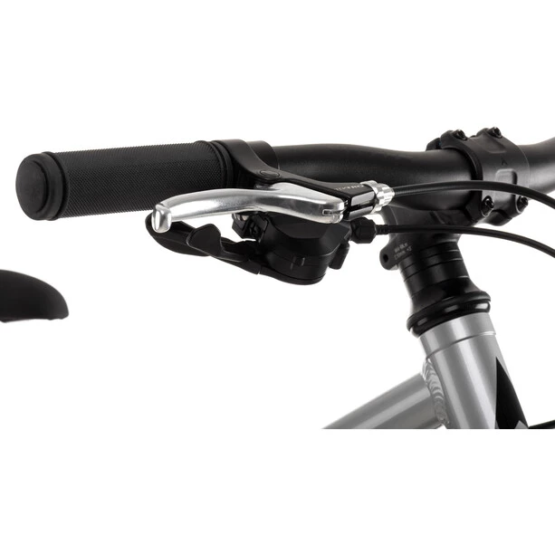 Vitus Vélos Enfant 20 Pouces 20 Enfant, Argent 6 Vitus Vélos Enfant 20 Pouces 20 Enfant, Argent – Image 4